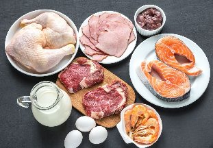 Protein diet for weight loss